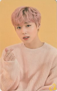 FANCON 演唱會 DVD / CD 卡 