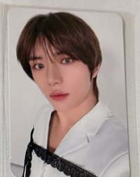高冷圭圭