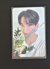 捧花碩米