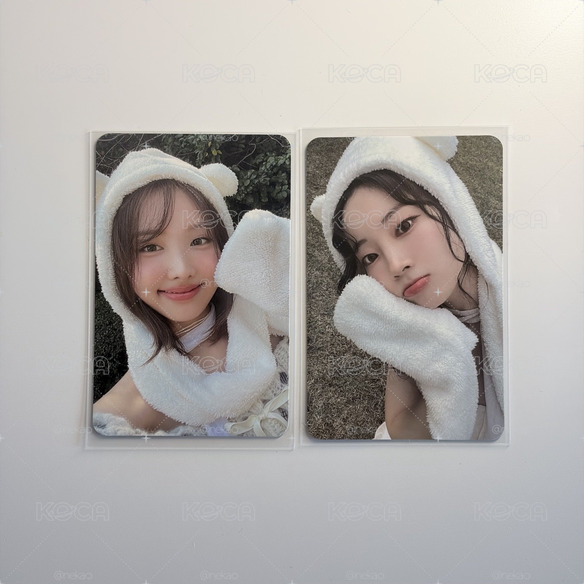 TWICE 迷13 小可愛們 熊貓娜 熊貓多