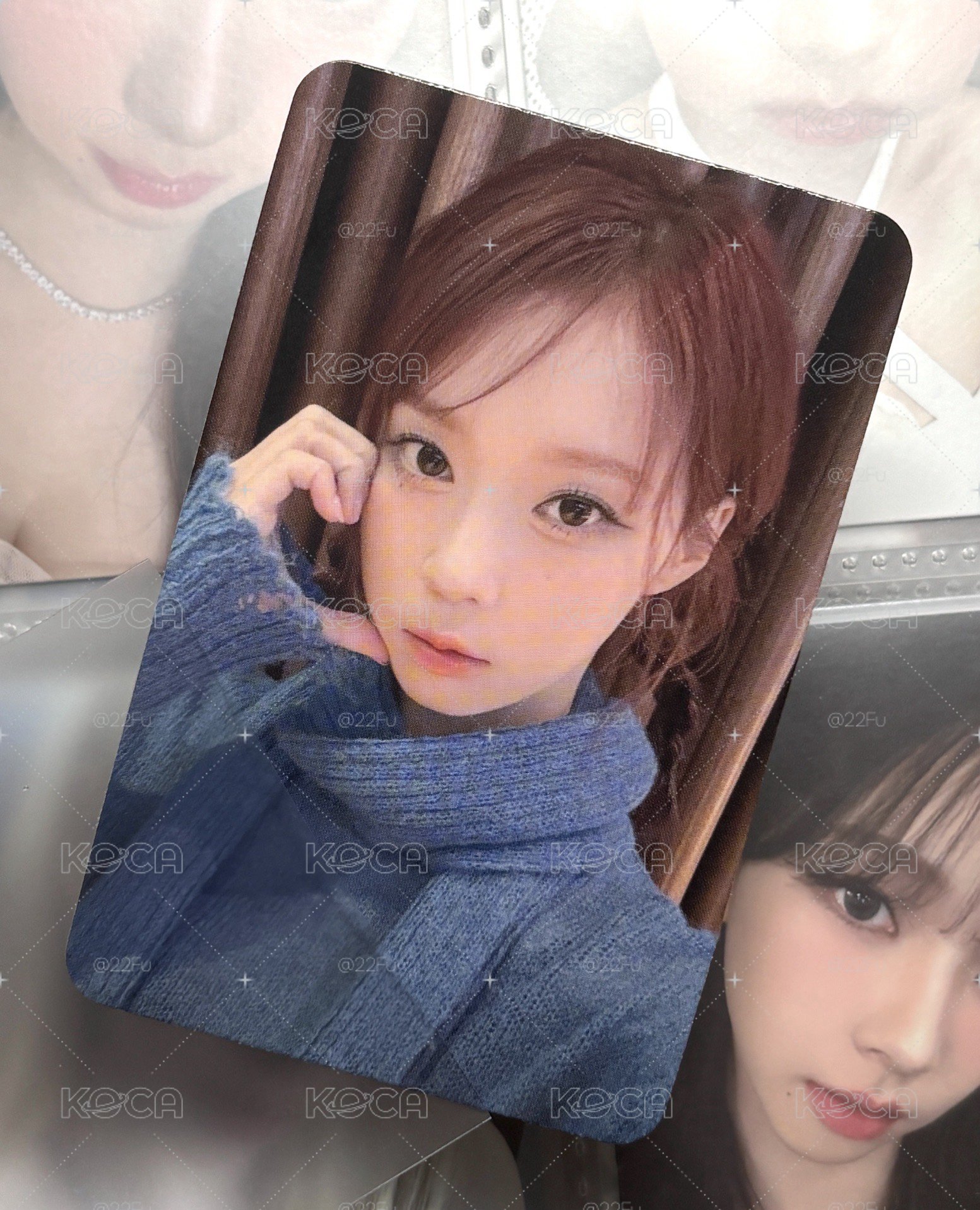 藍莓冬