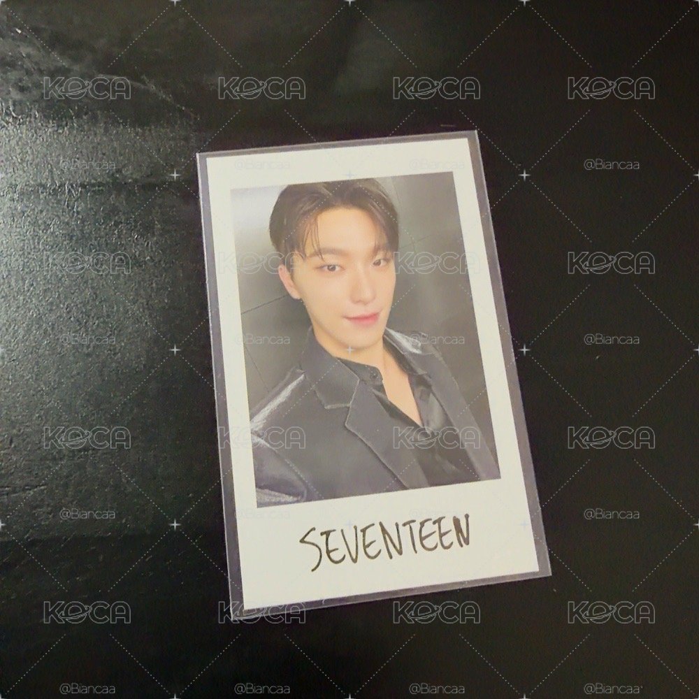 seventeen right here 拍立得 燦 Dino