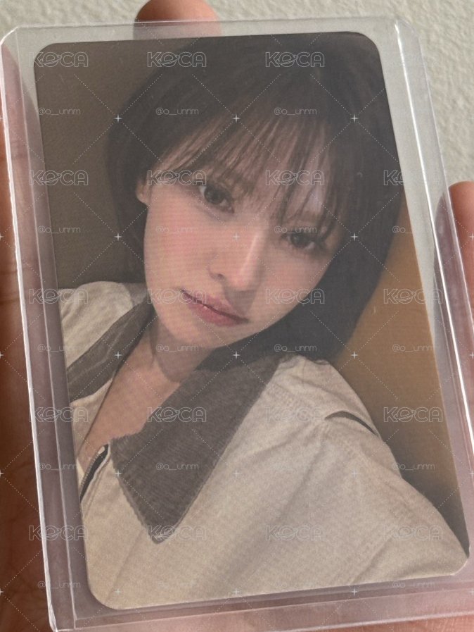 Wendy 櫻花季小卡