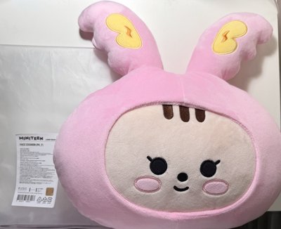 🐰토람이抱枕