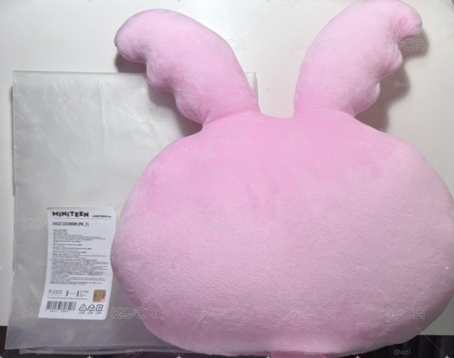 🐰토람이抱枕