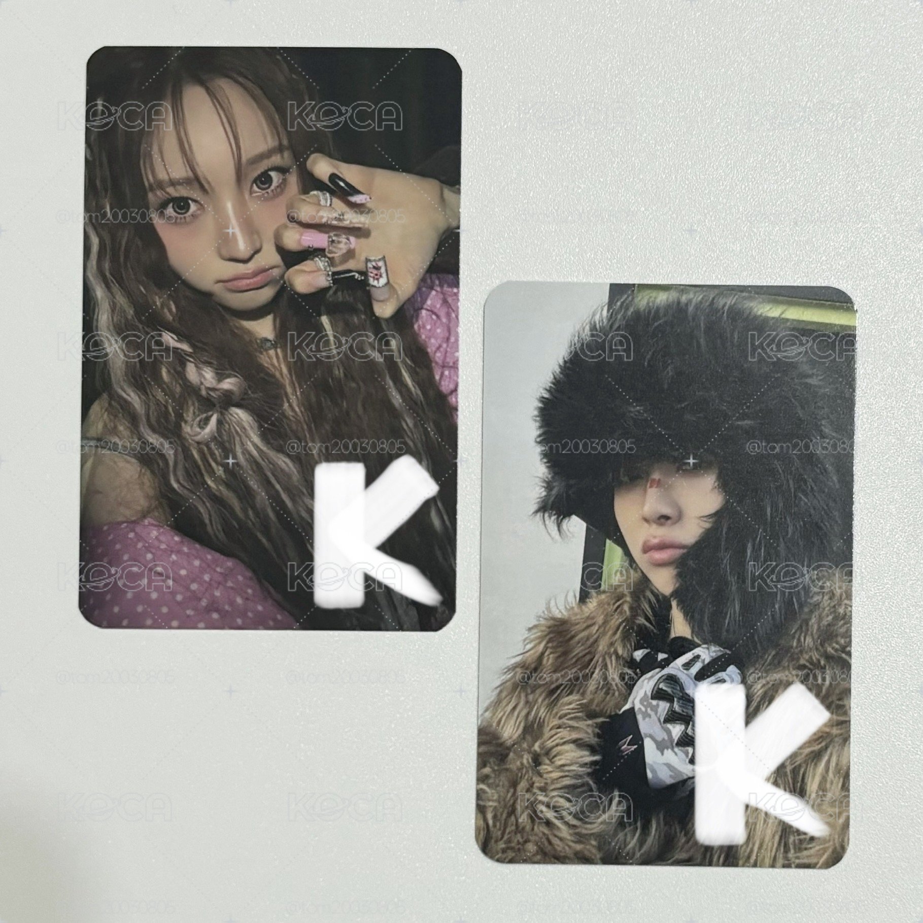 貓爪書🐱戰損燦🐶 迷你盤