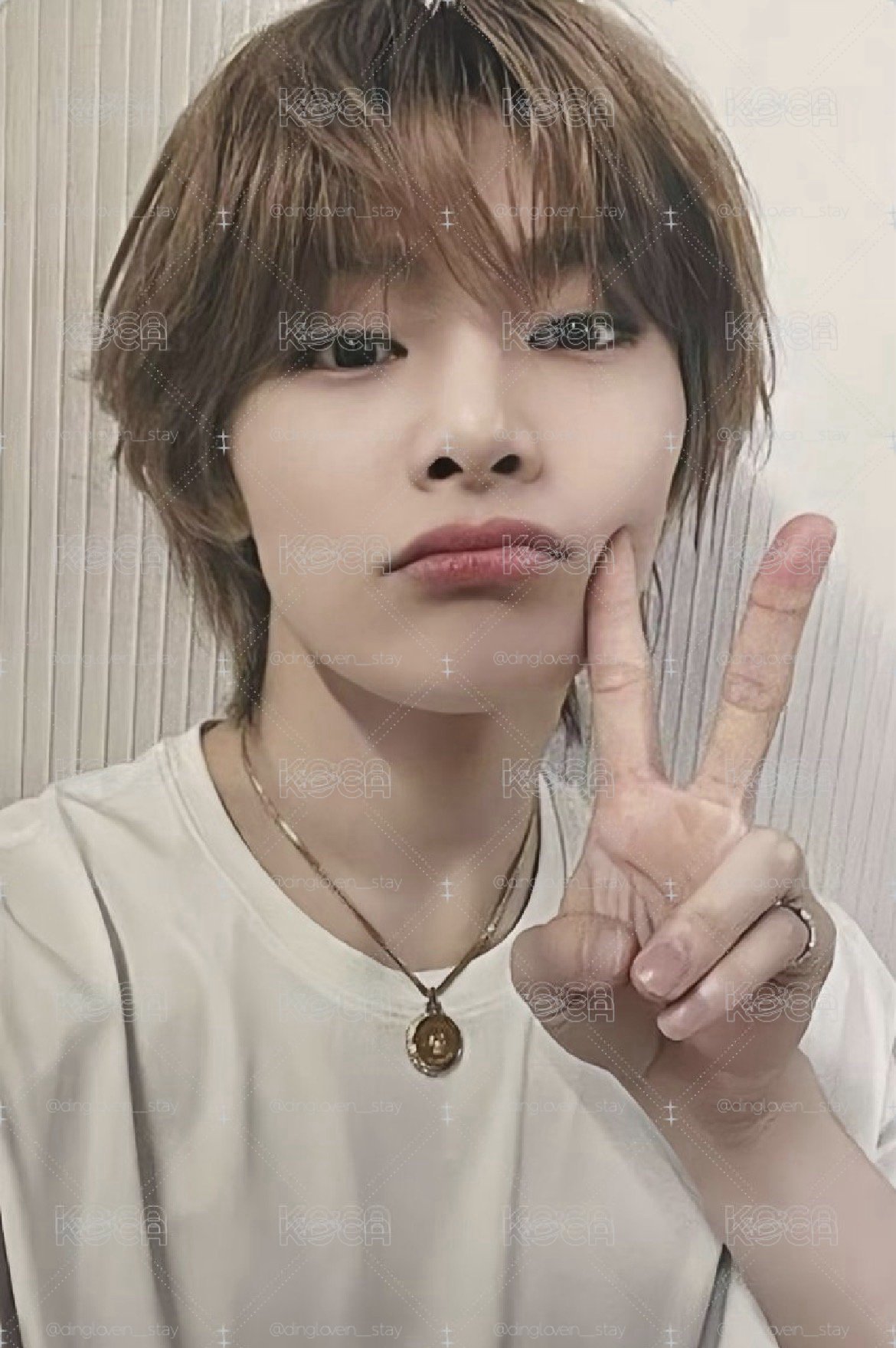 索尼羊