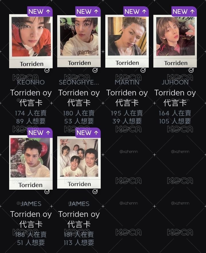 torriden 拍立得一套