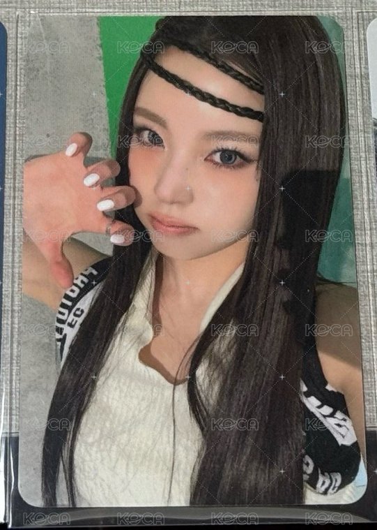 貓爪 圭