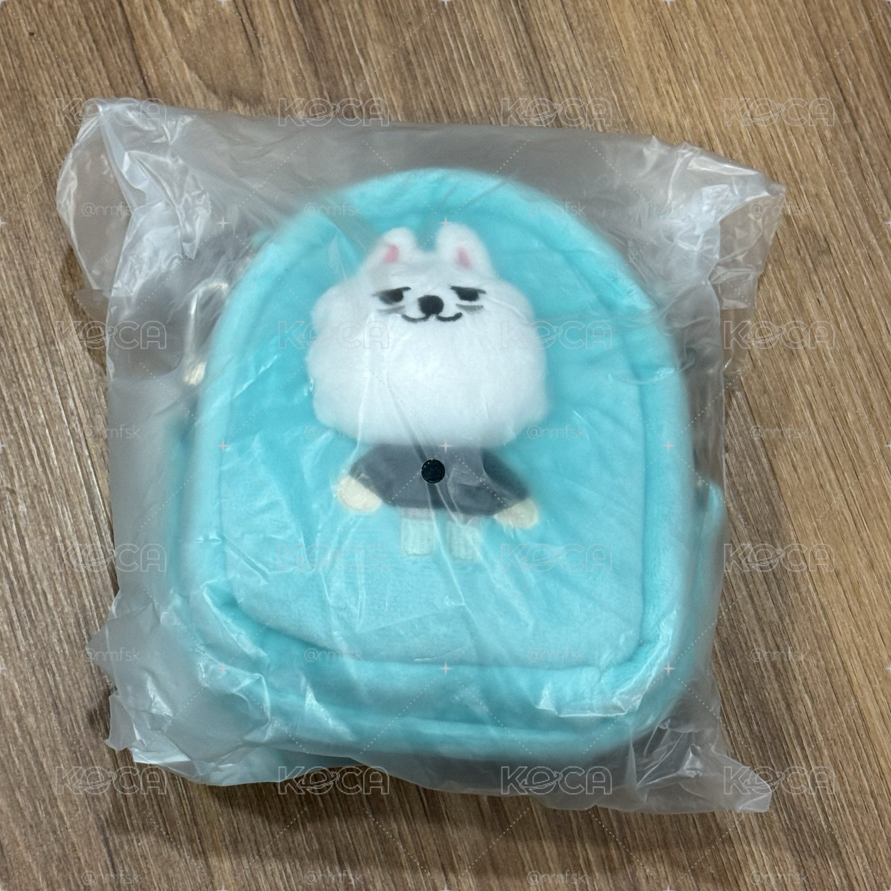 TXT FINDING MOA日區娃包 崔勇猛