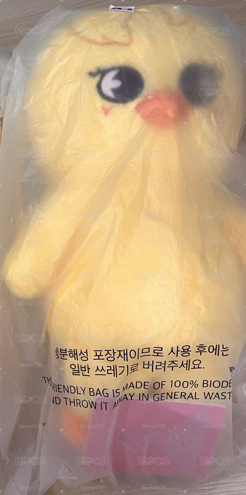 Stray Kids BbokAri 飯咪泰迪娃