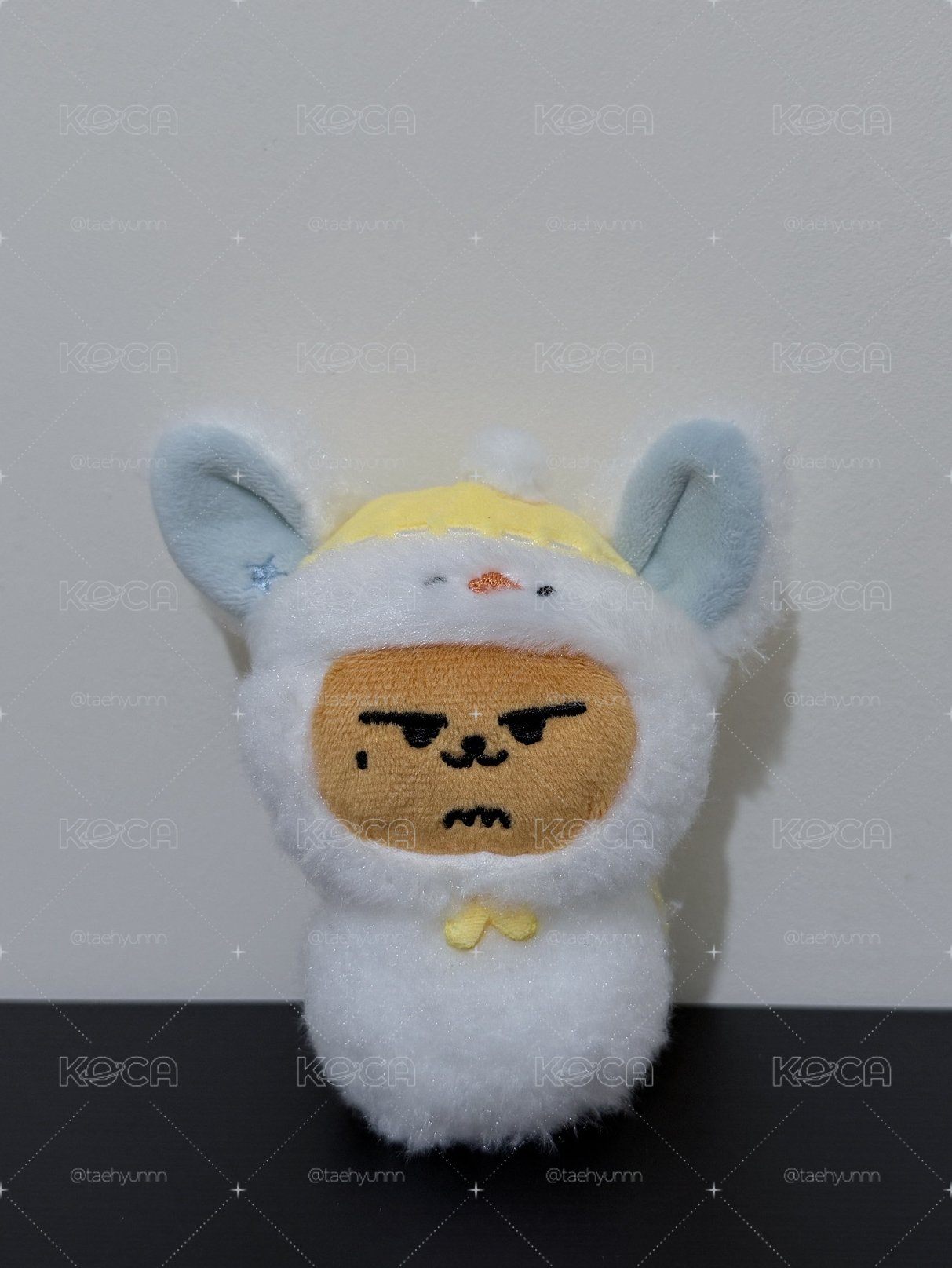 雪人春❄️🦊