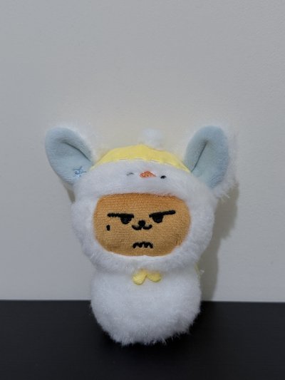 雪人春❄️🦊
