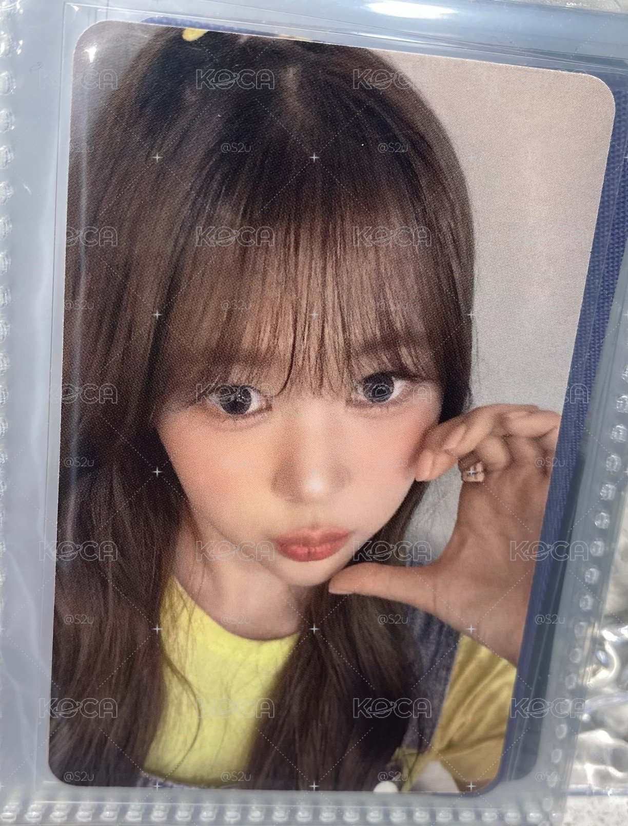 🐤藝溫