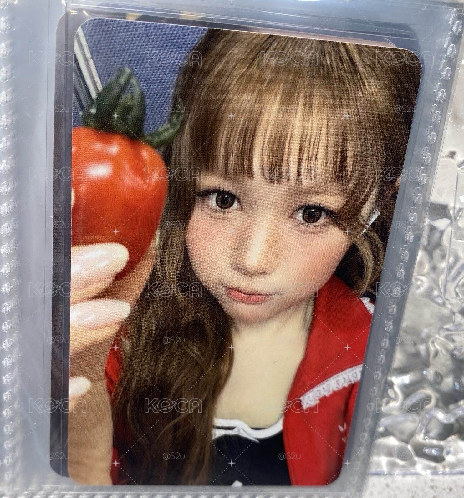 🍅藝溫