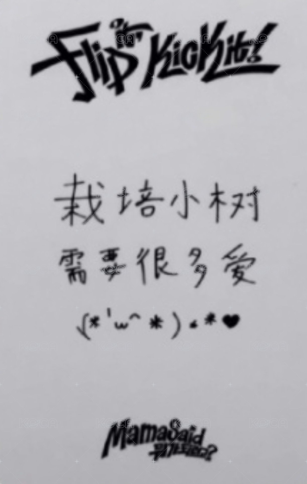 迷一 yzy 預售 特典卡  背面