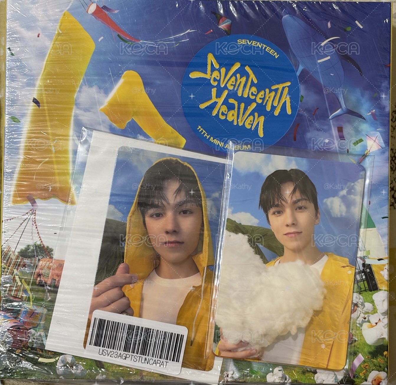 迷你11克拉盤 崔瀚率全專🩵