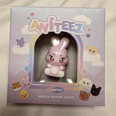 ANITEEZ IN COLOR 鍵帽 韓國線下限定