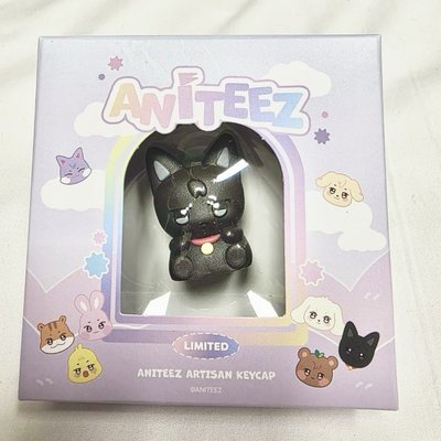 ANITEEZ IN COLOR 鍵帽 韓國線下限定