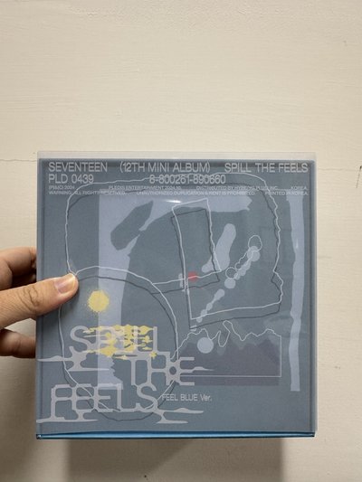 SEVENTEEN 迷12 空專