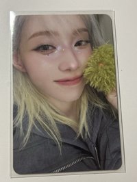 正規一專卡
