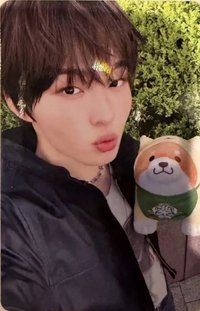 迷四 塔店 東京簽售 簽售卡 柴犬玩偶ver.