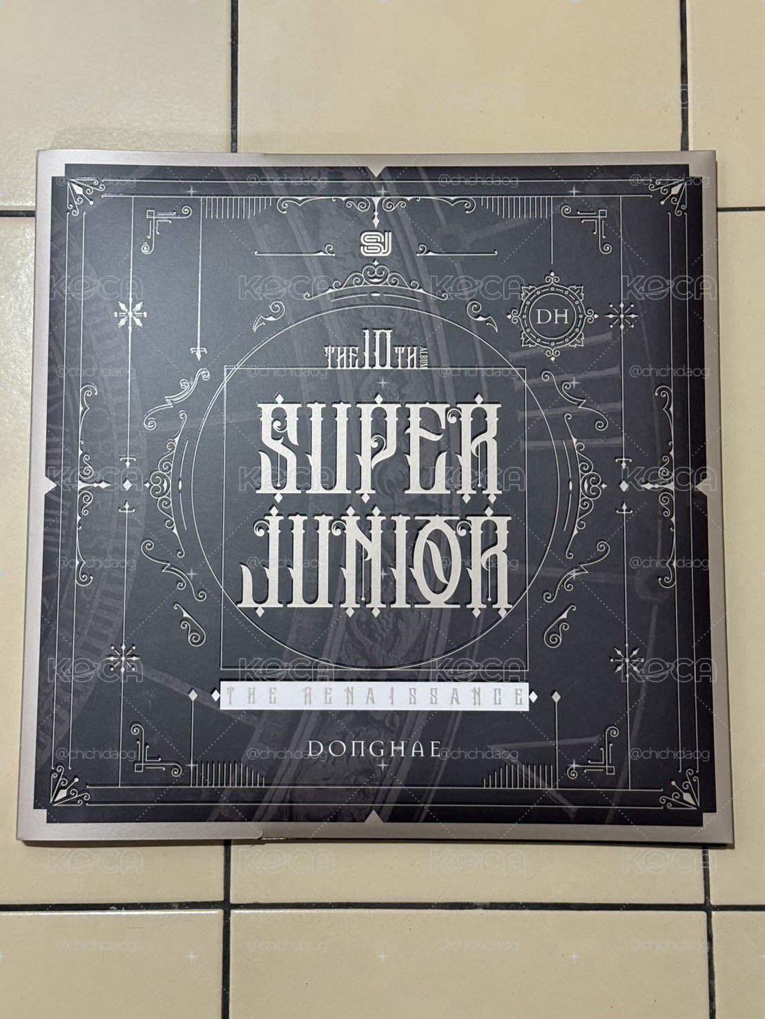 super junior日周海狗組合