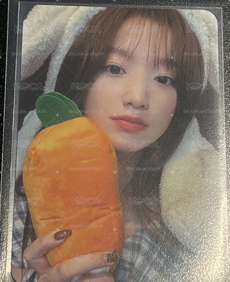 葉舒華 ms7.0 兔子刷 紅蘿蔔刷