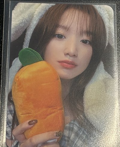 葉舒華 ms7.0 兔子刷 紅蘿蔔刷
