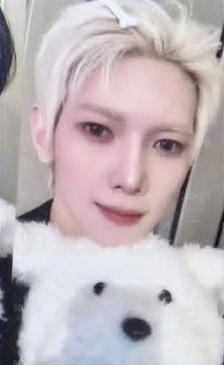 HL 2.0 PUPPY 尚