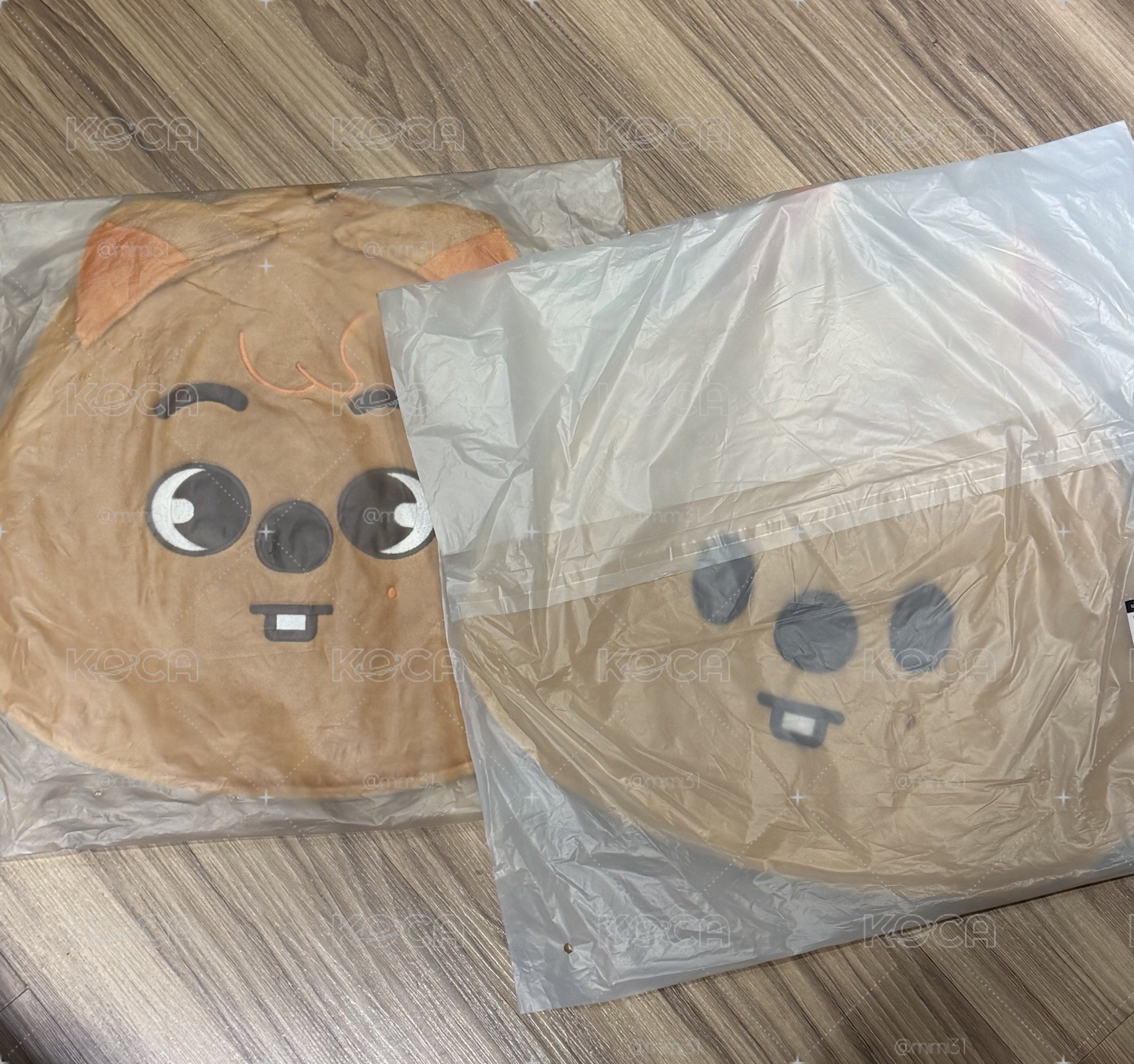 城豆豆眼+原版扇套