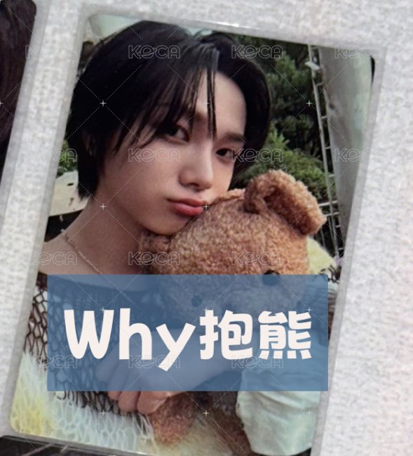 WHY抱熊
