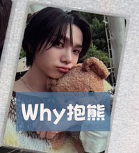 WHY抱熊