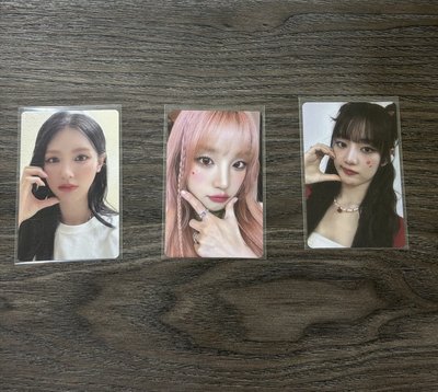 🐰🐶🐱