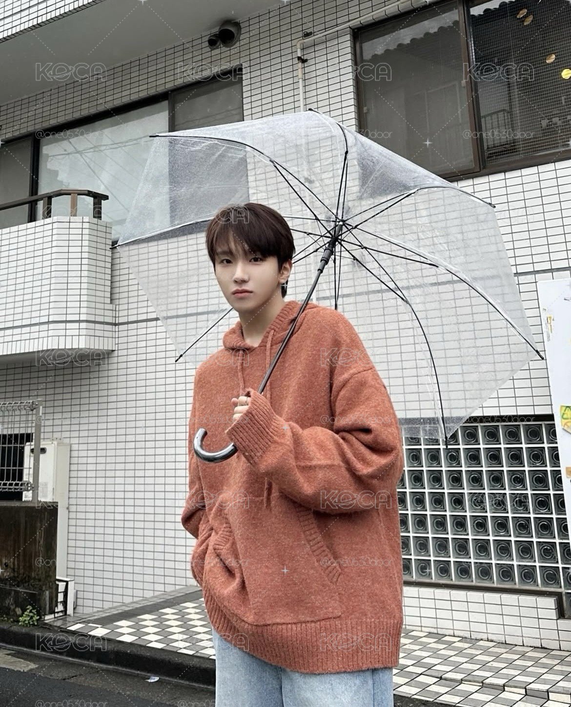 雲鶴 Amazon 特典