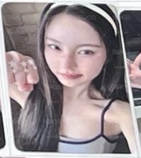 貓貓拳圭