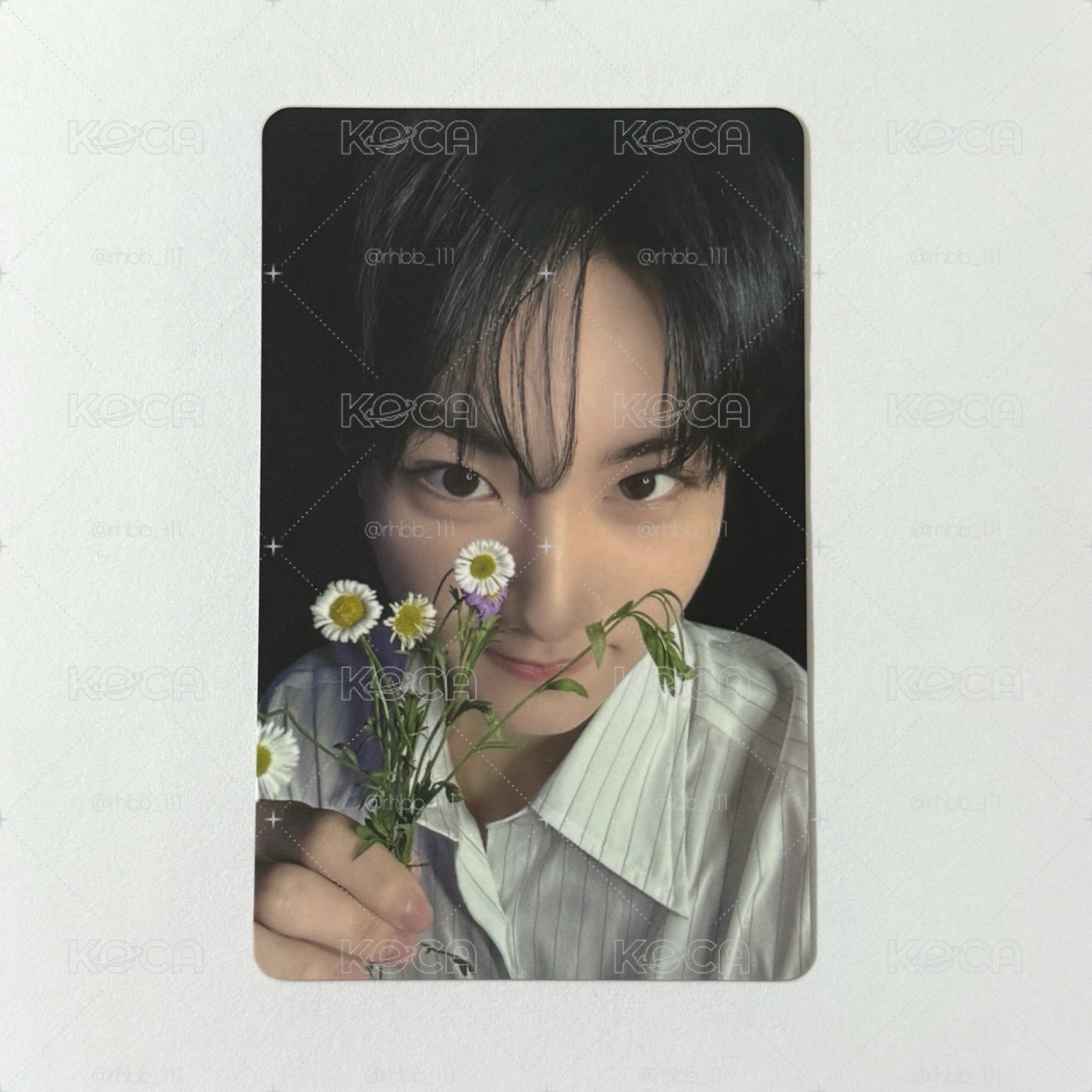 拿花小貓元