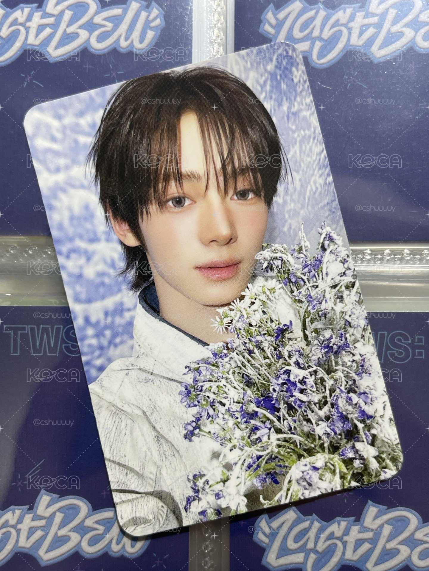 TWS迷五 藍版PB專卡 韓振