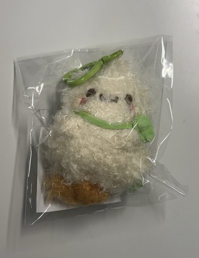 aespa 現貨 、以安Fm娃