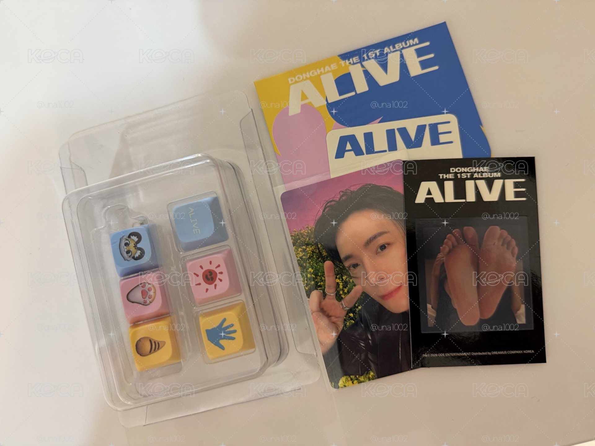 東海 SOLO ALIVE 鍵帽組腳丫卡確認款