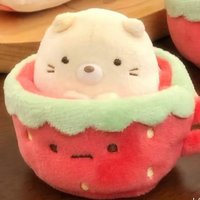 puppyymm_（主頁有賣場說明）