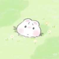 下單前請看簡介