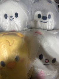 後背包（全新含卡+贈*線上*滿額2張）-辰