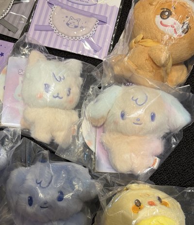 現貨 Aniteez 快閃店周邊