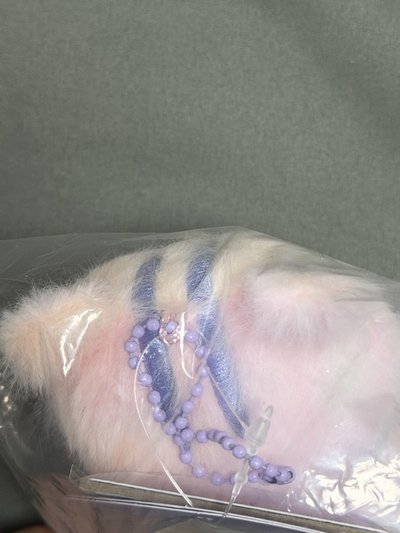 棉花糖中拉米