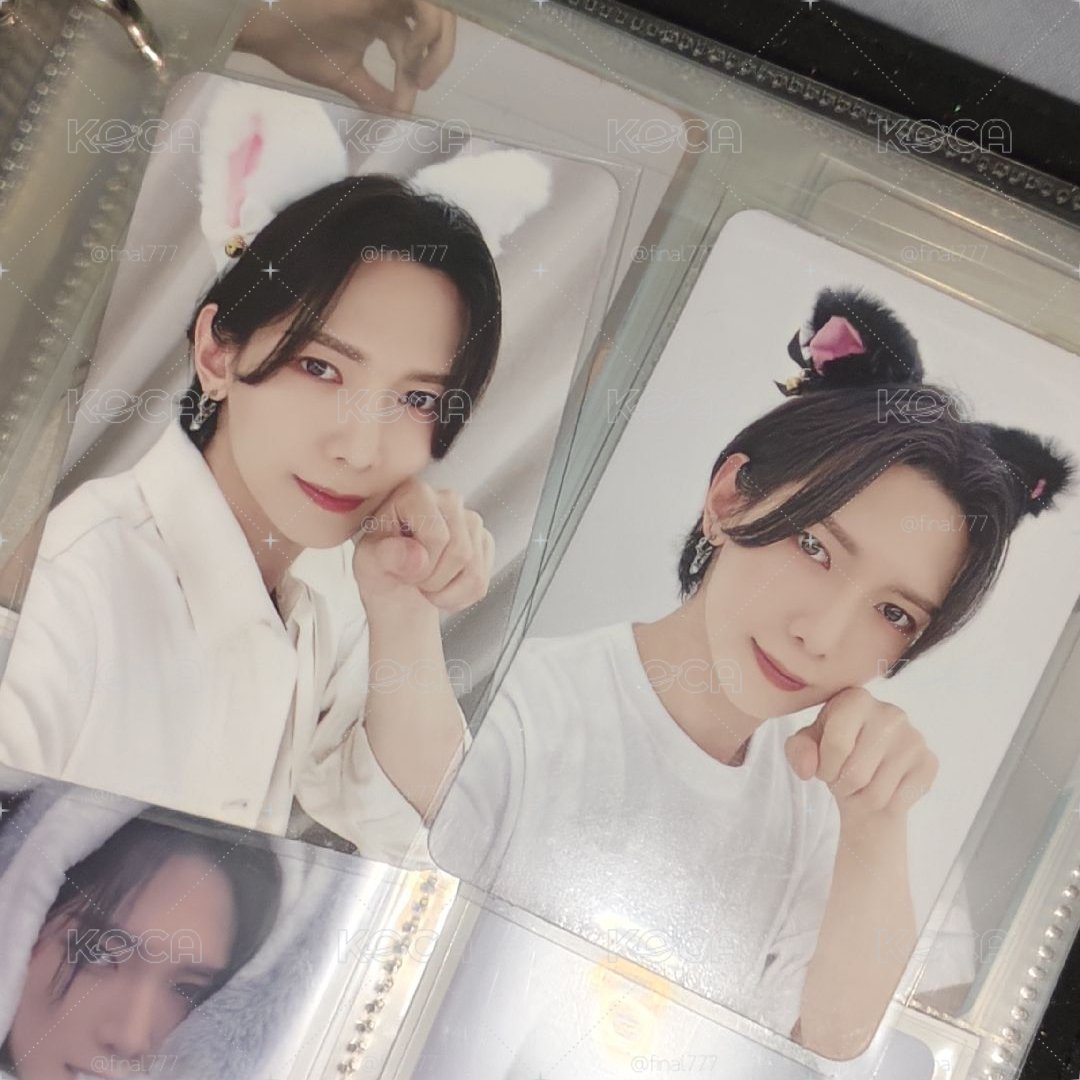 黑白貓兩張不拆