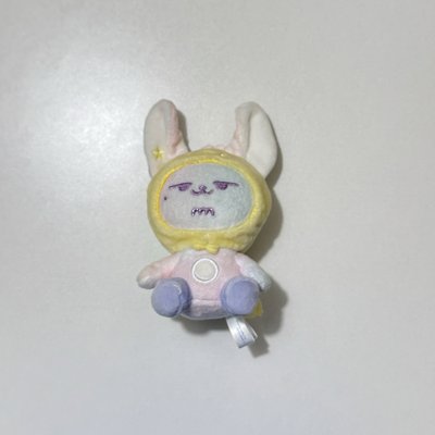 淡顏黃春