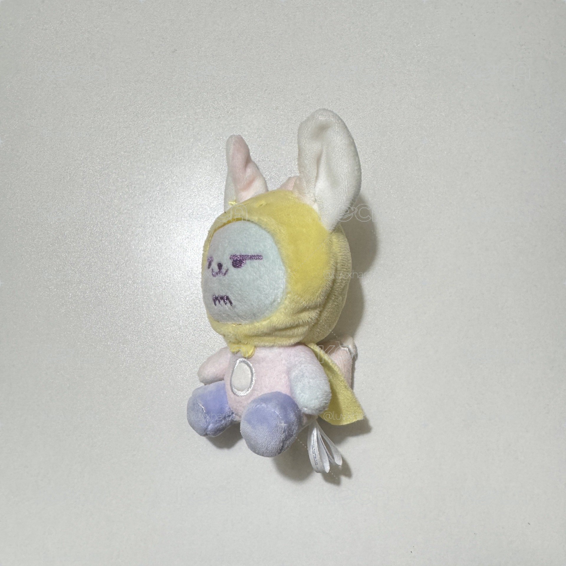 淡顏黃春