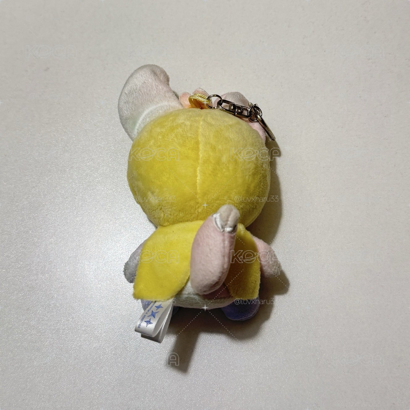 淡顏黃春