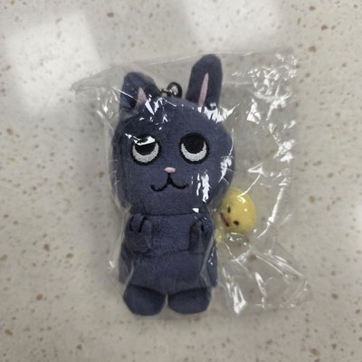 RIIZE 情人節原皮兔貓鴨、RIIZE PARK磁吸兔貓鴨（皆不綁直出）